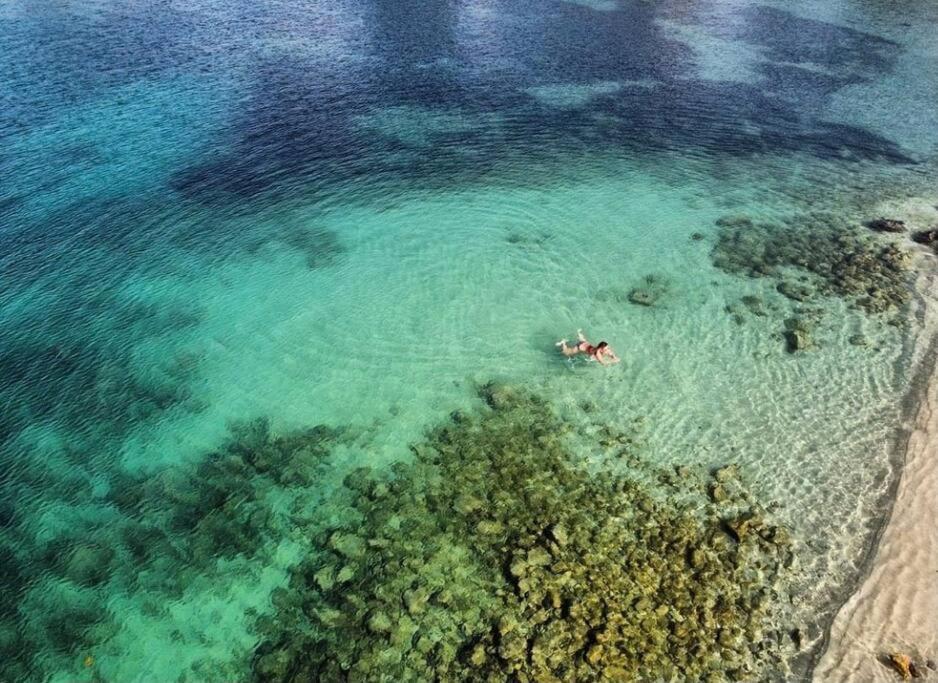 Escapade Bandolaise, 100 Metres De La Plage Dış mekan fotoğraf